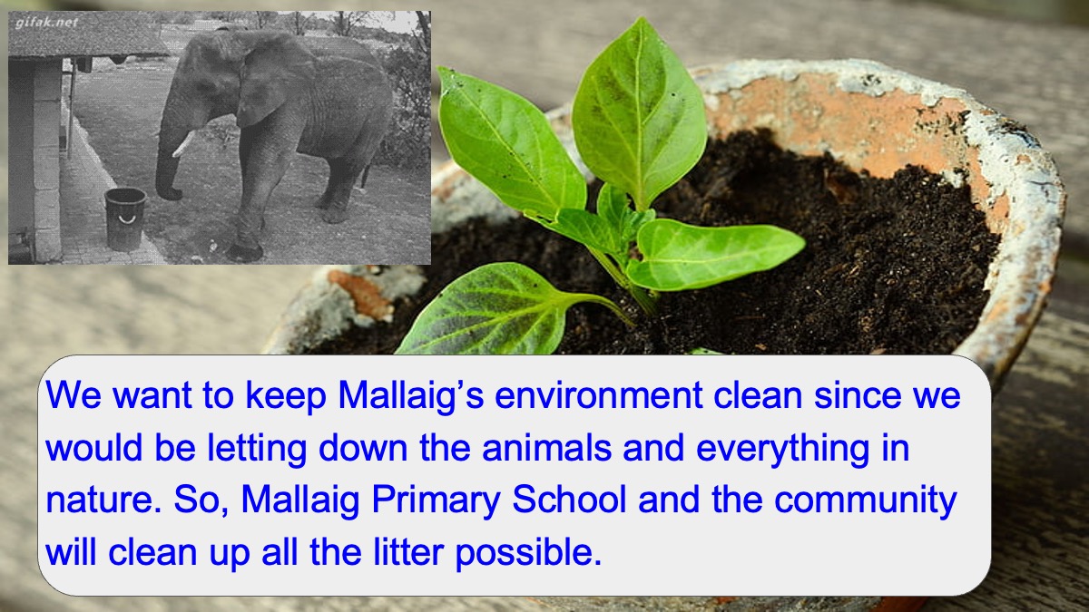Mallaig Clean presentation 28