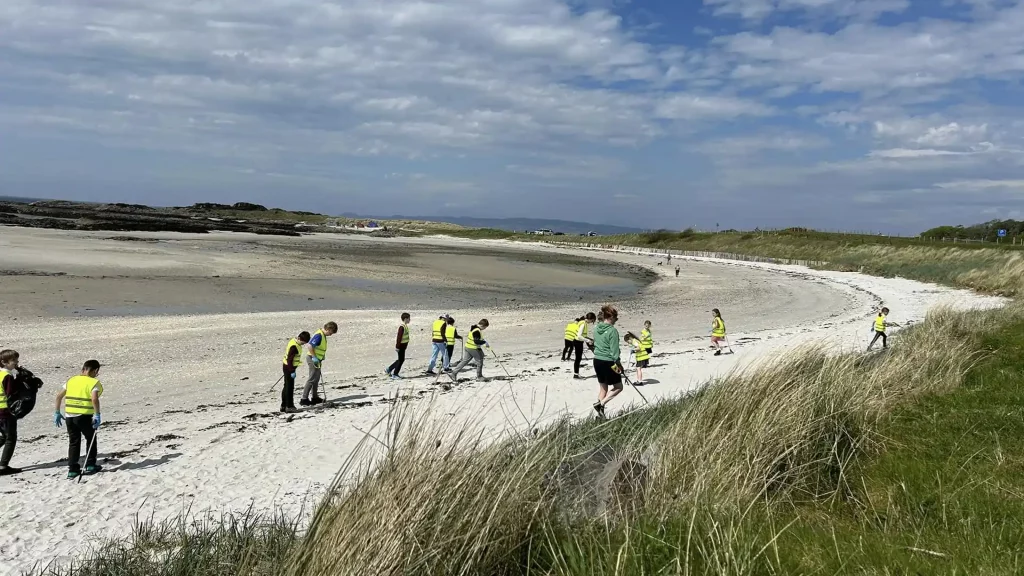 beach clean